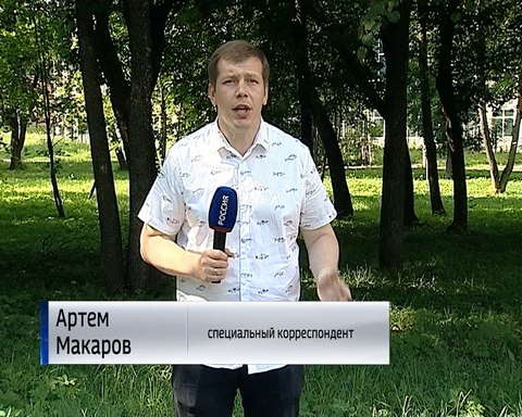 Что поможет не заблудиться в лесу?