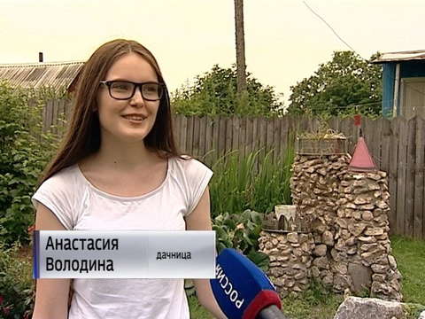 Жительница посёлка Гирсово вырастила почти 200 сортов роз