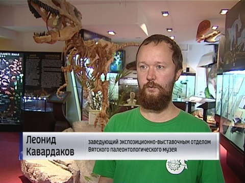 Кировскому музею передали отпечатки древних растений