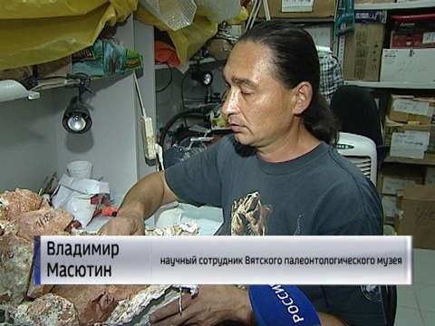 Кировскому музею передали отпечатки древних растений