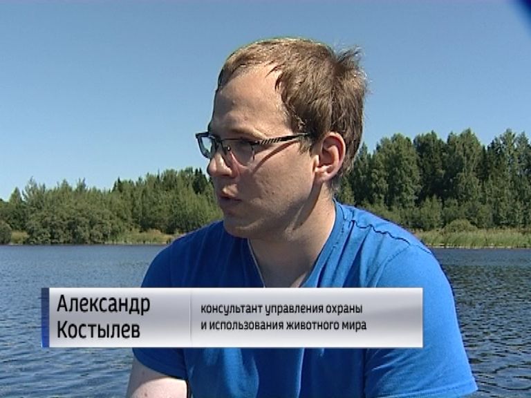 Избирательный фонд кандидата. Форма охотнадзора. Управление охраны и использования животного. Управление охраны и использования животного. Управление охраны и использования животного.