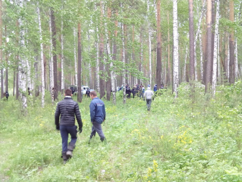 В Верхнекамском районе нашли женщину, пропавшую в лесу четыре дня назад.