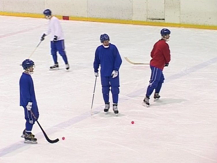 ХК «Родина» примет участие в Кубке России.