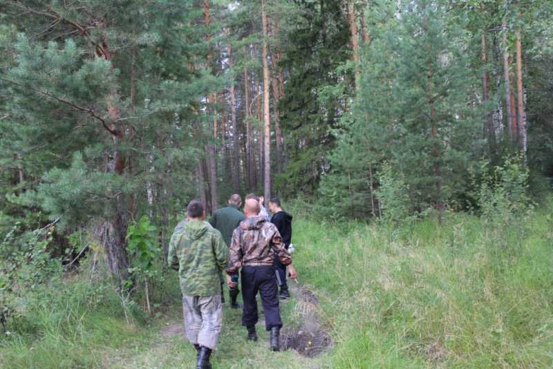 В Омутнинском районе нашли пропавшего без вести грибника.