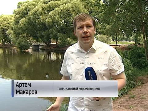 Ребенка в пруду у диорамы спас судебный пристав