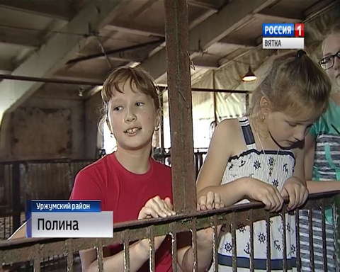 В Кировской области спасли от гибели лосёнка