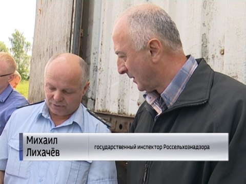 На Победиловском тракте проверили продажу арбузов