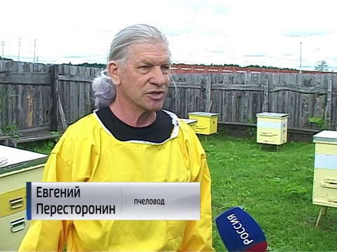 Православная церковь встретила Медовый Спас 