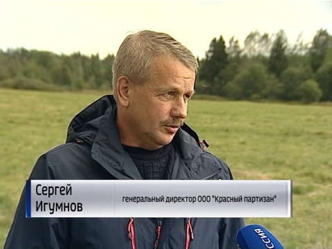 В сельхозпредприятиях набирает популярность элитная порода КРС