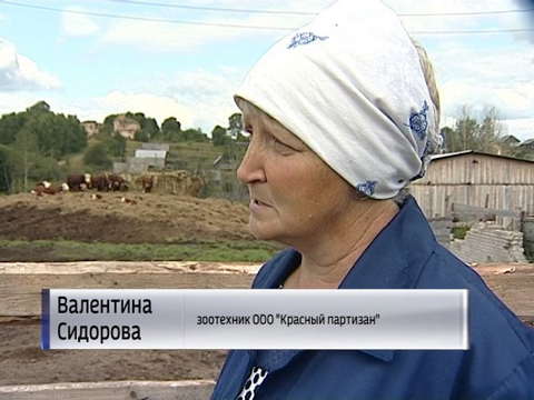 В сельхозпредприятиях набирает популярность элитная порода КРС