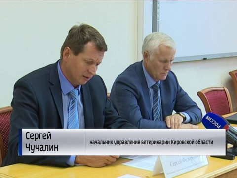 Чуму свиней обнаружили у границ Кировской области