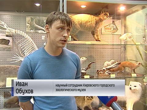 В Зоологическом музее открылась выставка «Чем мы не похожи?» 