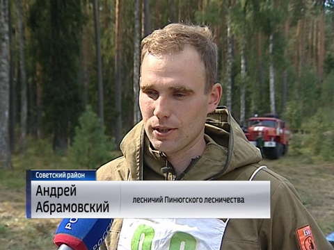 В Советском районе выбрали лучшего лесничего