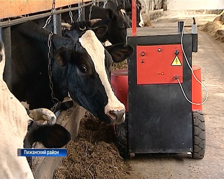 В Пижанском районе на ферме вместе с людьми трудится робот