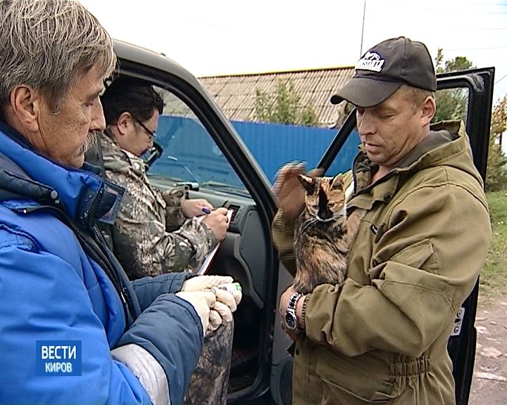 В Кирове стартовала кампания по вакцинации домашних животных против бешенства