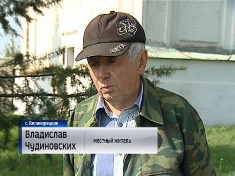 В Великорецком вместе с сухостоем рубят вековые деревья