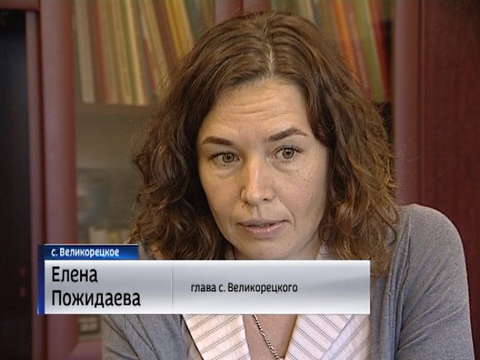 В Великорецком вместе с сухостоем рубят вековые деревья