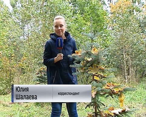 В Дендропарке стартовал городской слёт "Юный знаток природы"