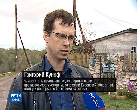 В Кирове стартовала кампания по вакцинации домашних животных против бешенства