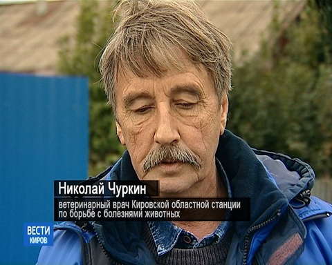 В Кирове стартовала кампания по вакцинации домашних животных против бешенства