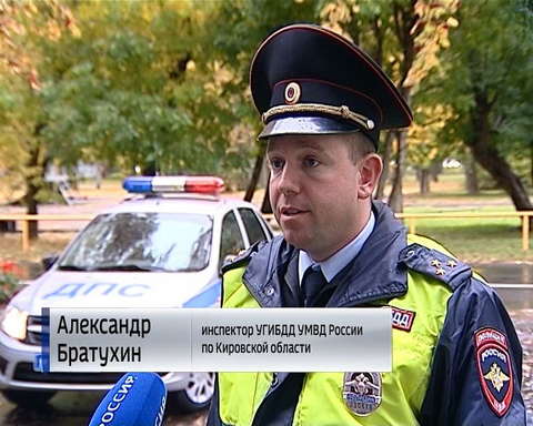 В области участились случаи столкновения автомобилей с лосями