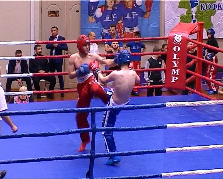 Во дворце единоборств прошел Кубок области по кикбоксингу