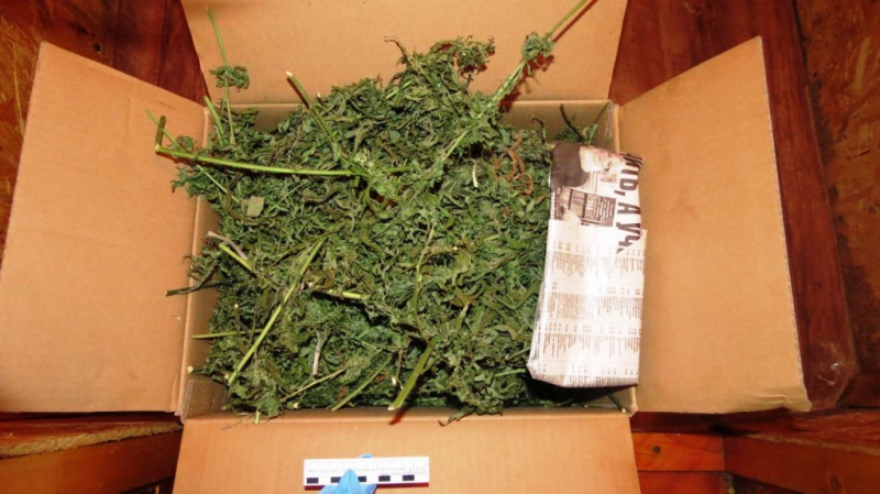 У жителя Кильмезского района полиция изъяла 7,5 килограммов конопли.