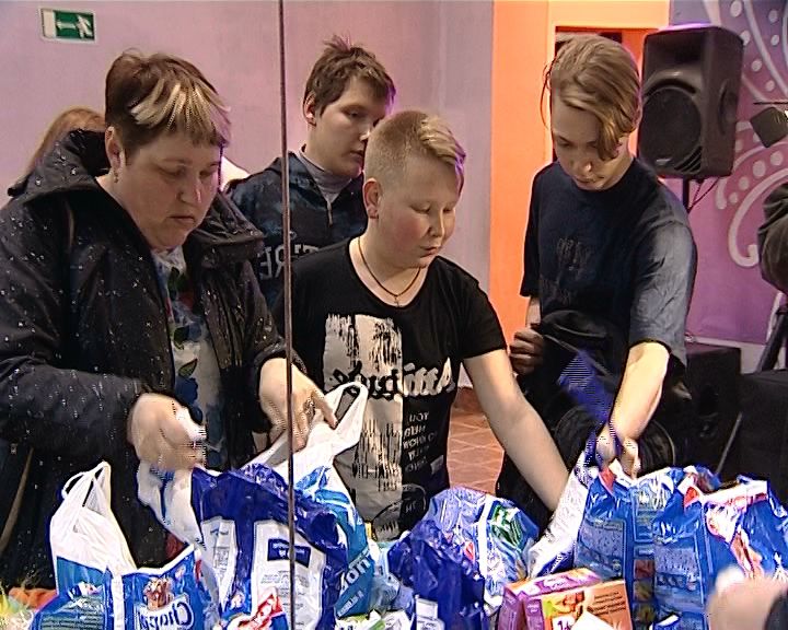 В микрорайоне Лянгасово всерьез озаботились проблемой бездомных животных