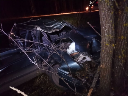 В Советском районе ВАЗ-2114 сбил лося: пострадали 3 человека.