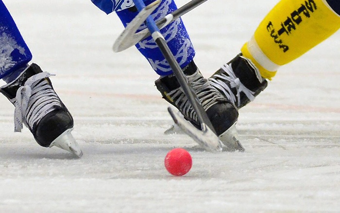 15 ноября в Кирове стартует турнир на призы Федерации хоккея с мячом.