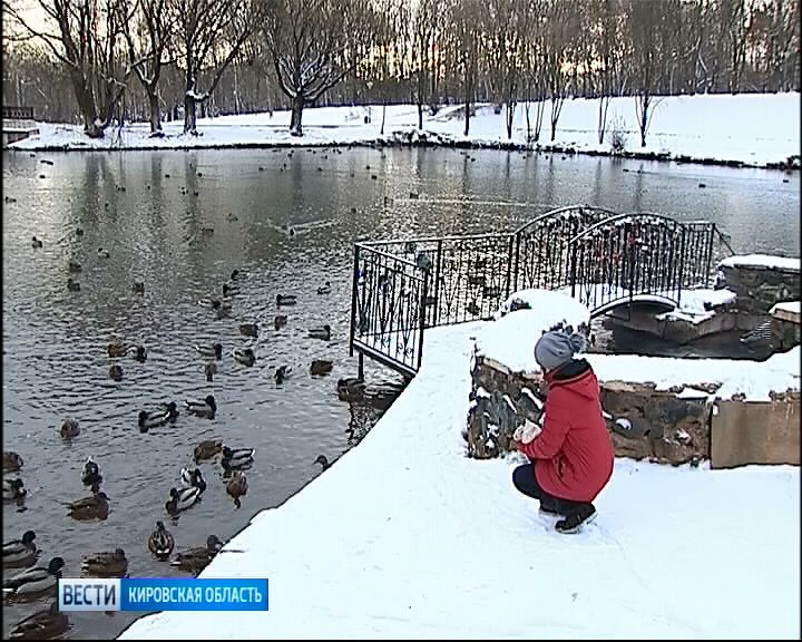 Вести. Кировская область (Россия-1) 23.11.2018