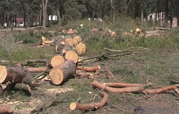В отношении главы администрации села Великорецкого возбудили уголовное дело.
