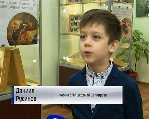 Фотографии животных и насекомых украсили стены Кировского зоологического музея 