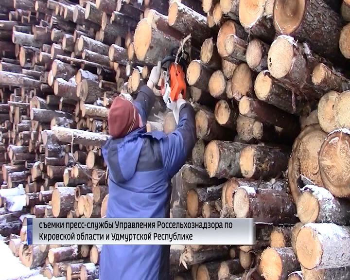 В партии древесины для продажи Россельхознадзор обнаружил опасного для леса жука