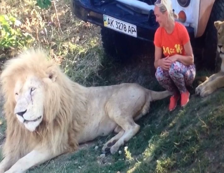 Кировчанка пережила нападение льва в сафари-парке