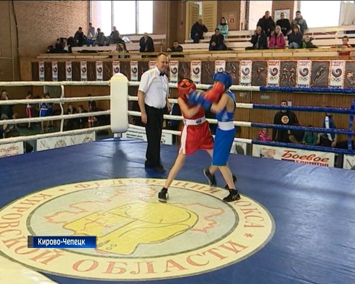 Сильнейшие боксеры померялись силами на Чемпионате и Первенстве области
