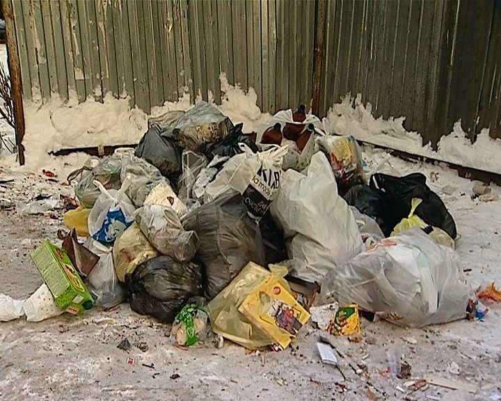 Сколько и как будем платить за мусор