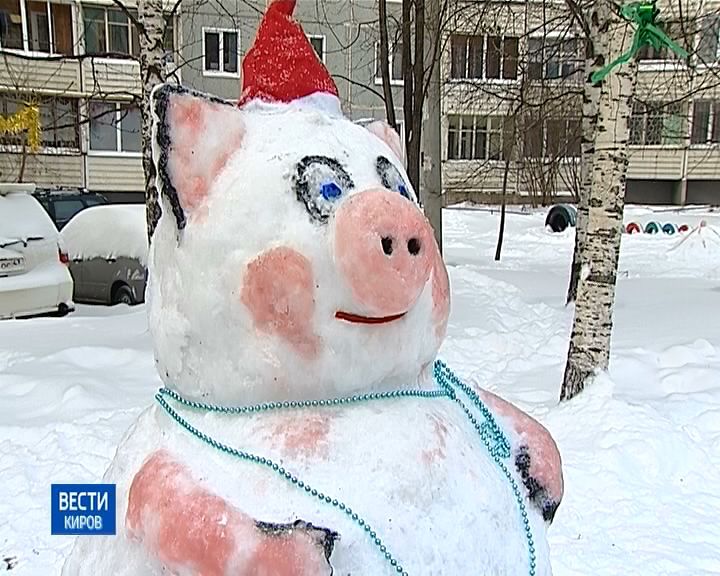 Вести. Киров (Россия-24) 28.12.2018