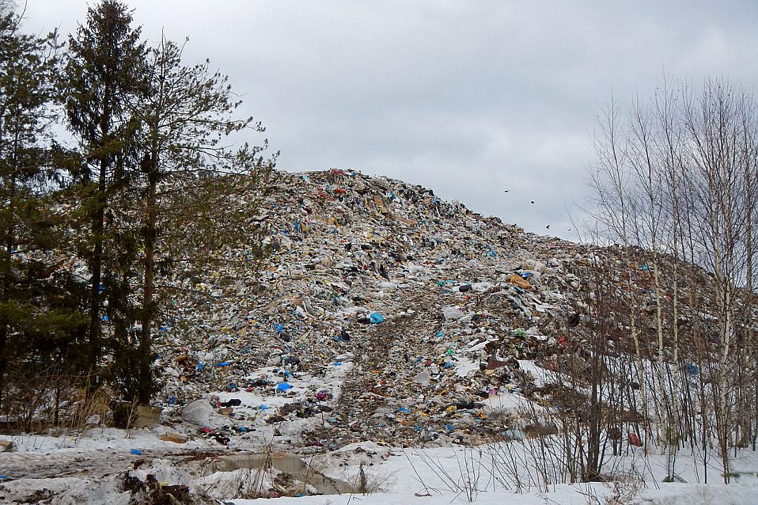Воздействие полигона ТБО в Костино на экологию оценят на общественных слушаниях.