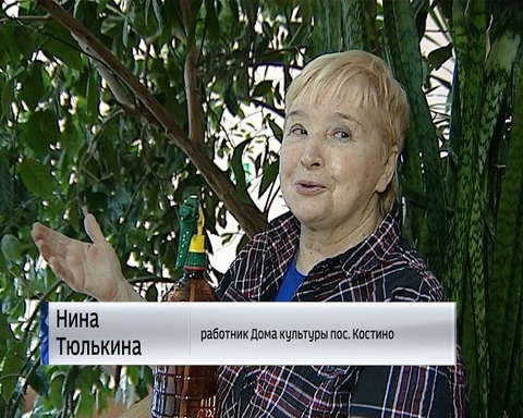 В Костино готовятся собрать необычный урожай: в Доме культуры поспевают цитрусовые