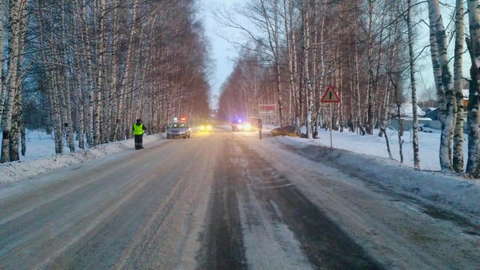 В Вятскополянском районе «Дэу Нексия» врезалась в дерево: пострадали 3 человека.