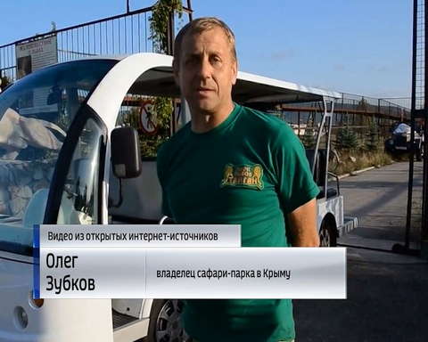 Кировчанка пережила нападение льва в сафари-парке