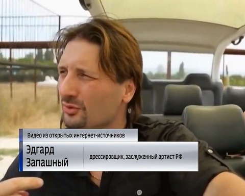 Кировчанка пережила нападение льва в сафари-парке