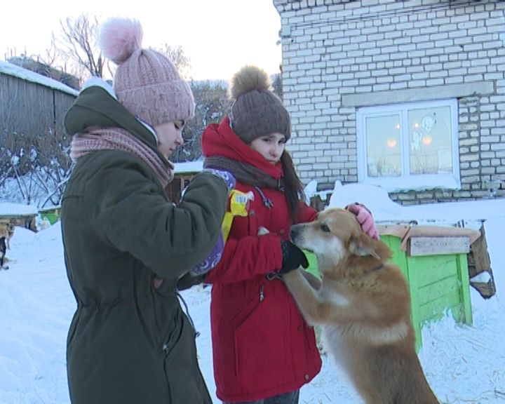 интернат в белой холунице. детский дом надежда. школа-интернат 3 тольятти кирова. канский детский дом малютки. дети сироты кирова.