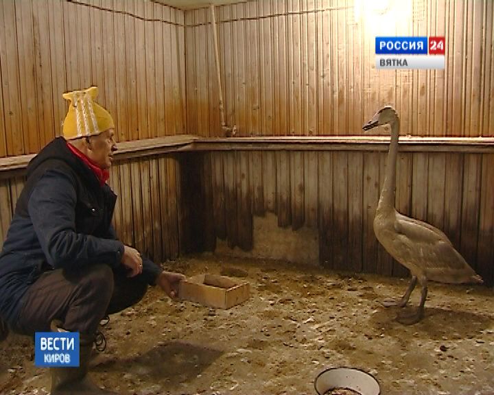 Вести. Киров (Россия-24) 23.01.2019