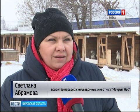 Как обезопасить своих домашних любимцев от последствий новогодних праздников?