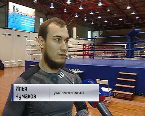 Во Дворце Единоборств состоялся областной чемпионат по ММА 