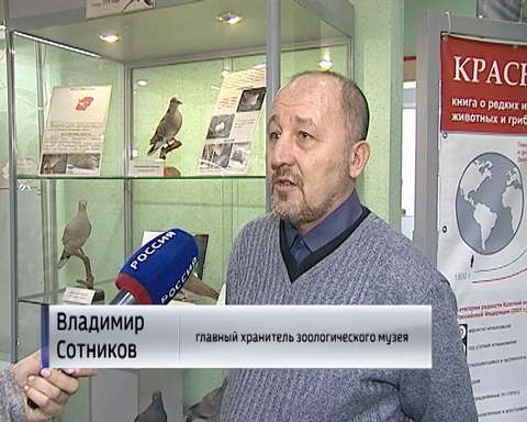 В Кировском зоологическом музее можно познакомиться с птицей 2019 года 