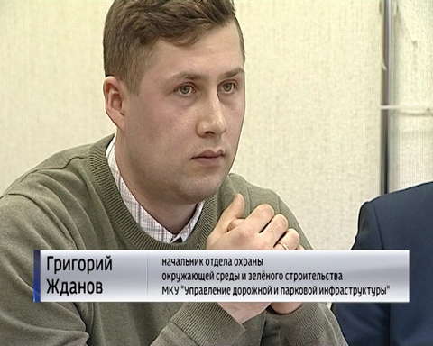 В общественной палате обсудили проблемы озеленения города 