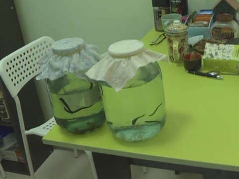 В Кирове сотрудники ФСБ закрыли мошеннический медицинский центр.